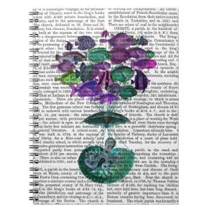 Carnet Vol Du Ballon À Air Chaud Poisson