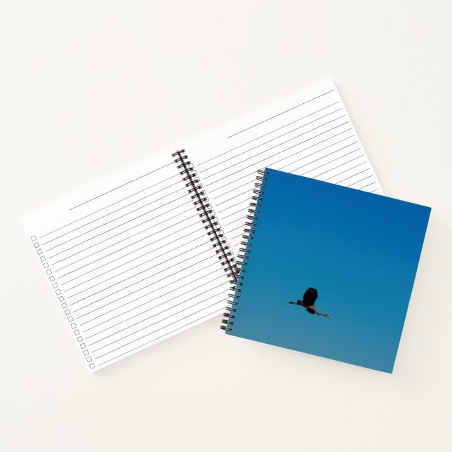 Carnet Volant (Intérieur)