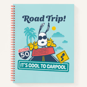 Carnet Voyage sur route cacahuètes C'est Cool au covoit