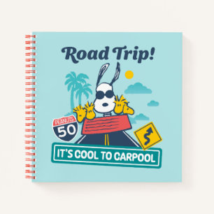 Carnet Voyage sur route cacahuètes C'est Cool au covoit