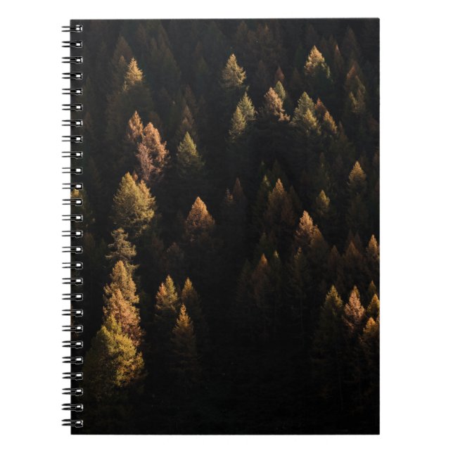 Carnet Vue aérienne des pins (Devant)