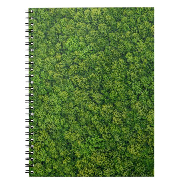 Carnet Vue aérienne sur la forêt, vue supérieure, espace  (Devant)