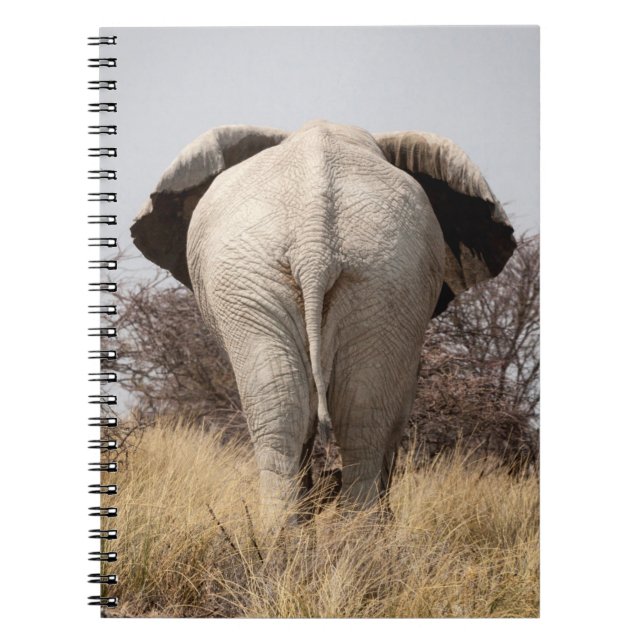 Carnet Vue arrière de l'éléphant (Devant)