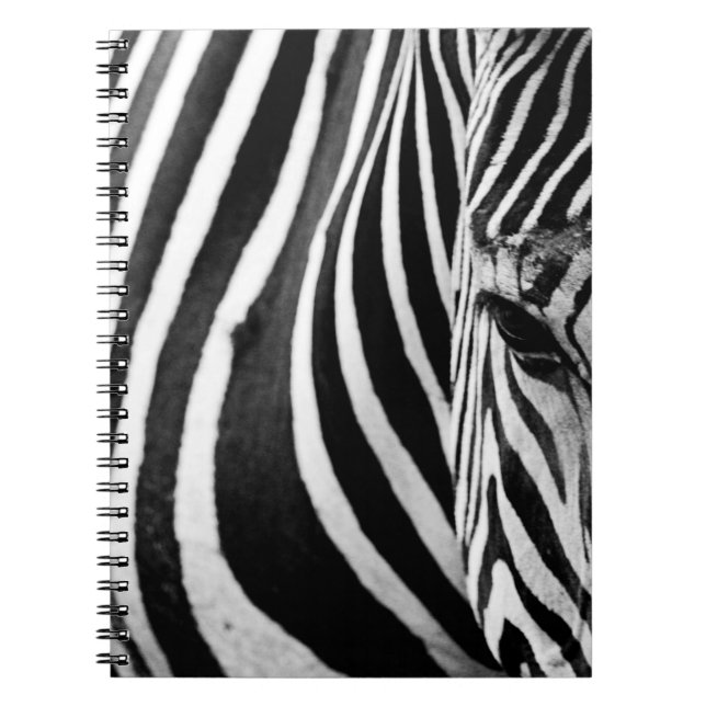 CARNET VUE DE FERMETURE ZEBRA (Devant)