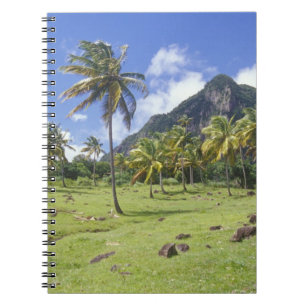 Carnet vue de Gros Piton le long du sentier historique à