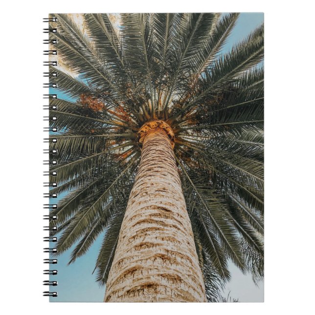 Carnet Vue de vers d'un cocotier (Devant)