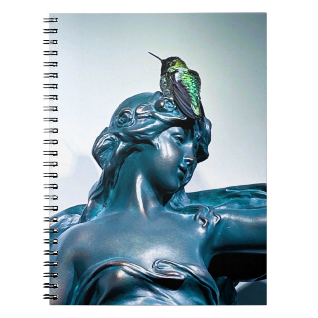 Carnet vue du colibri (Devant)