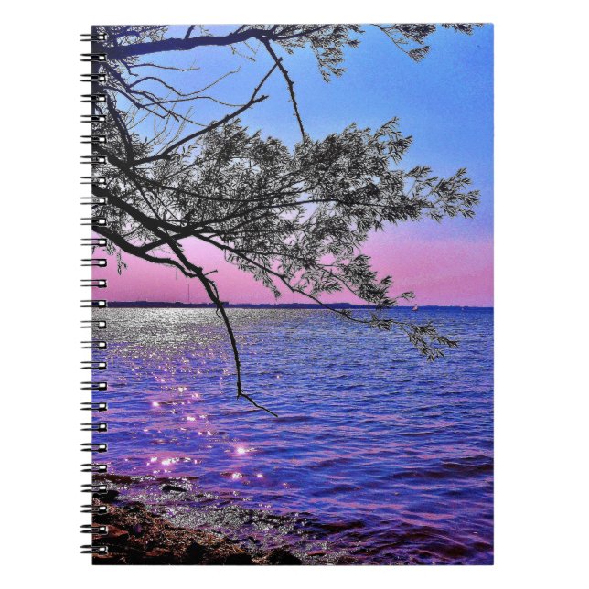 Carnet Vue du lac Mendota (Devant)