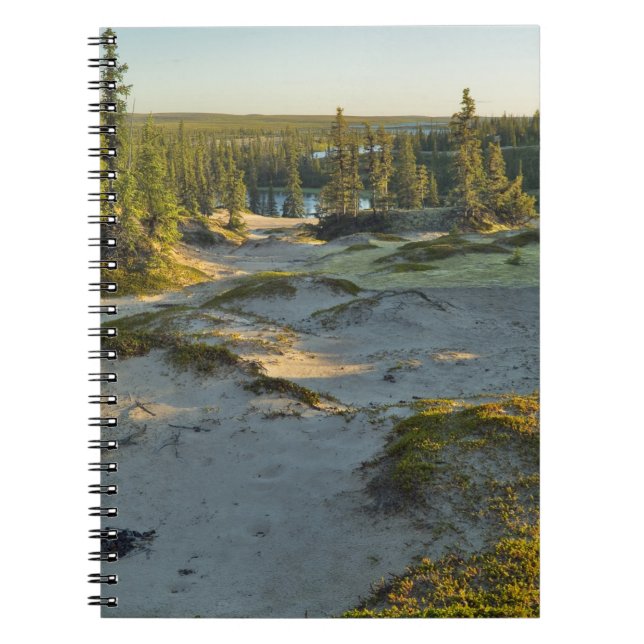 Carnet Vue d'un lac et des collines de sable environnante (Devant)