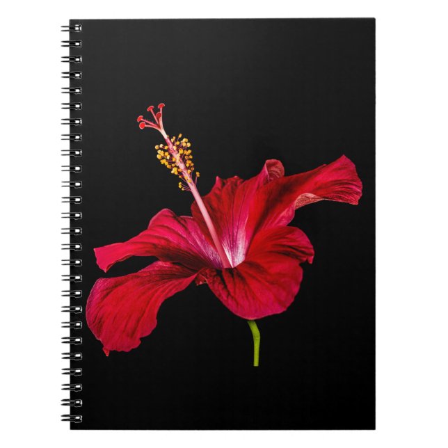 Carnet Vue latérale de l'Hibiscus rouge (Devant)