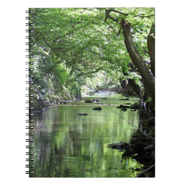 Carnet Waldbach (Devant)