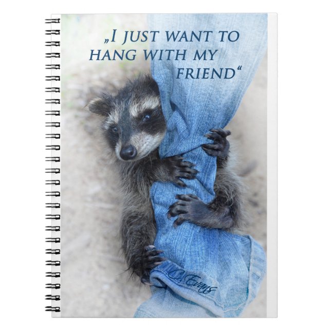 Carnet Waschbär - Abhängen (Devant)