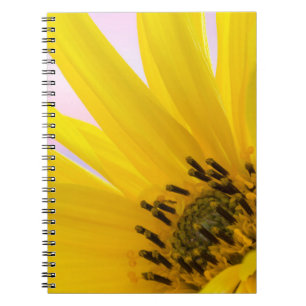 Carnet Washington. Détail de la fleur de tournesol 1