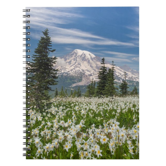 Carnet Washington, Parc national du mont Rainier 1 (Devant)
