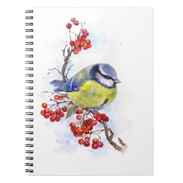 Carnet Watercolor winter titmouse bird illustration branc (Devant)