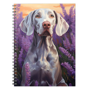 Carnet Weimaraner dans le champ Lavender
