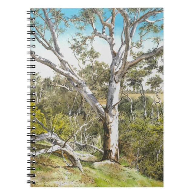 Carnet - 'Werribee River Gum' (Devant)