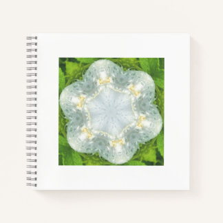 Carnet Wet White Wild Rose - Mandala green - by ID Art