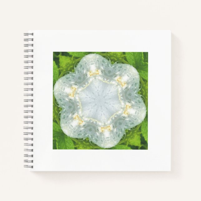 Carnet Wet White Wild Rose - Mandala green - by ID Art (Devant)