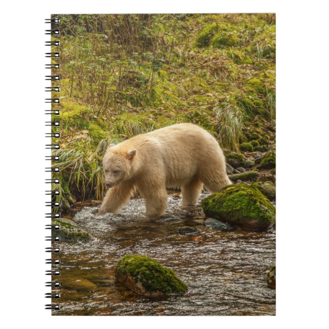 Carnet White Spirit Bear Chasse pour poisson sur Riordan  (Devant)
