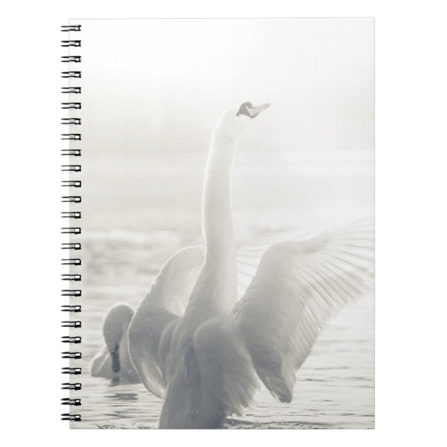 Carnet White Swan (Devant)