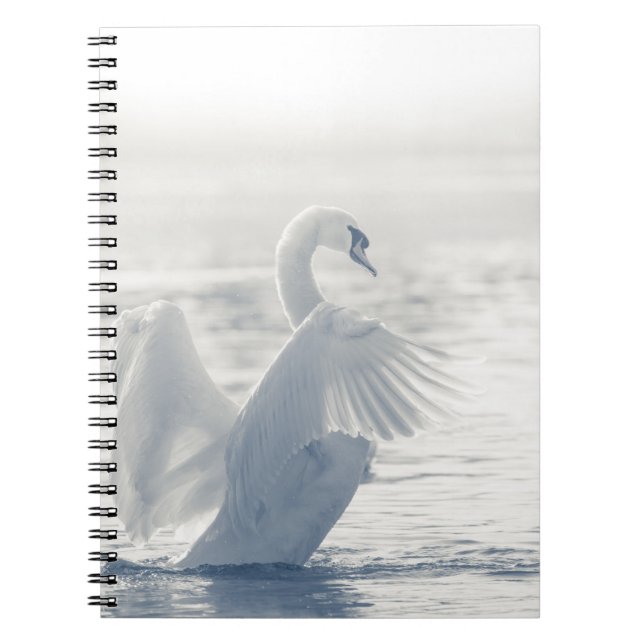 Carnet White Swan Nature Photo (Devant)