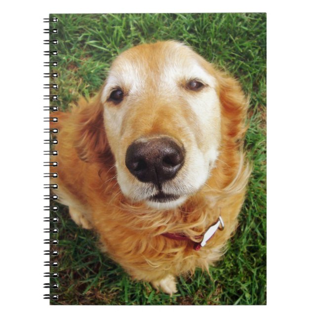 Carnet Who's a Good Boy (Devant)