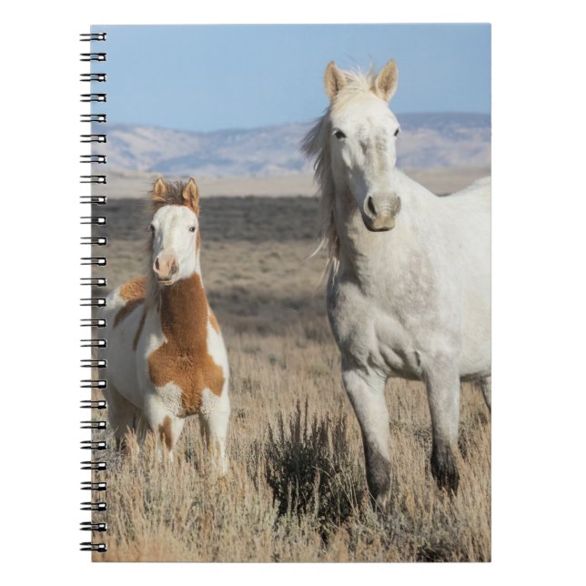 Carnet Wild Horses at Home in the Sandwash Basin (Devant)