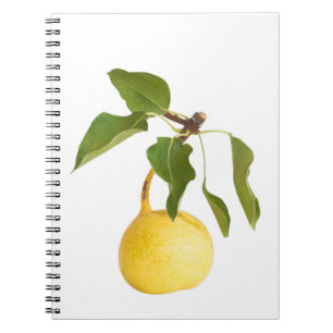 Carnet Wild pear