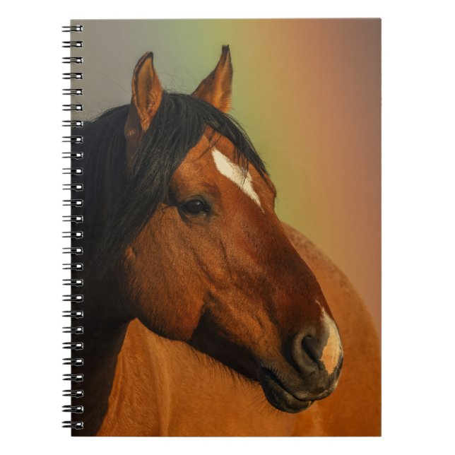 Carnet Wild Stallion, Golden Light and Rainbow (Devant)