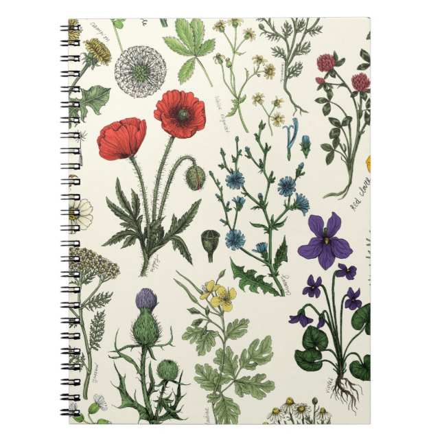 Carnet Wildflowers collage (Devant)