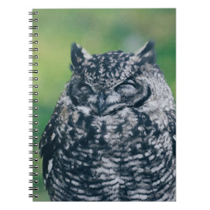 CARNET WILL OWL DANS LA FORÊT FRANÇAISE