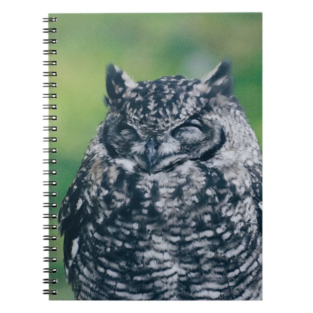 CARNET WILL OWL DANS LA FORÊT FRANÇAISE (Devant)