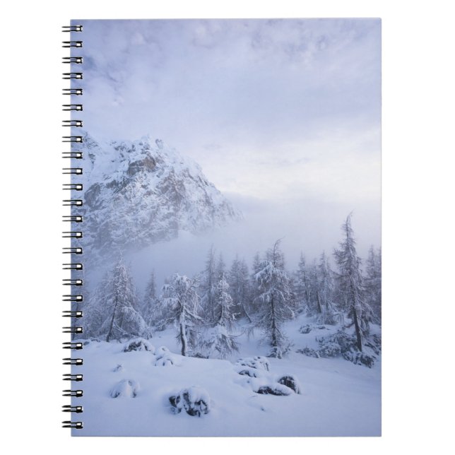 Carnet Winter wonderland, fog, spruce forest and mountain (Devant)