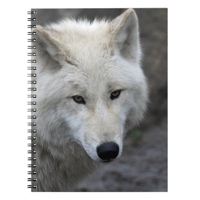 Carnet Wolf 015 (Devant)