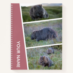 Carnet Wombat Australia Photo Collage, or Rose