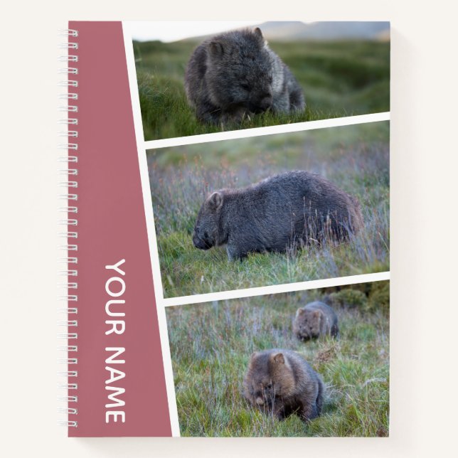 Carnet Wombat Australia Photo Collage, or Rose (Devant)