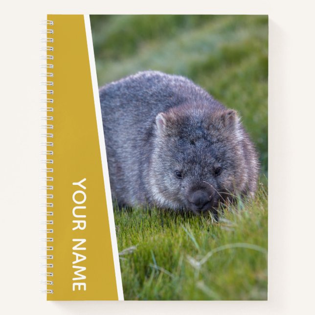 Carnet Wombat Australie mignonne animal, or (Devant)