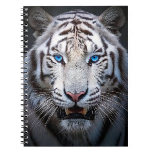 Carnet Yeux Bleus Blancs