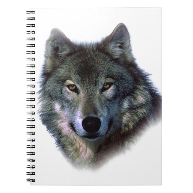 Carnet Yeux de loup gris (Devant)