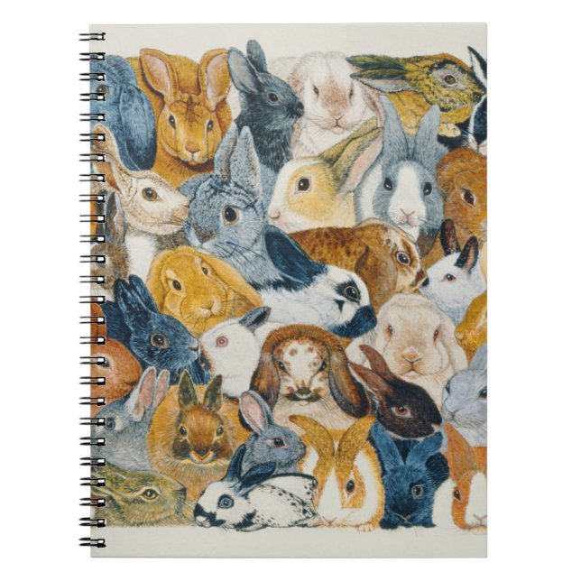 Carnet Yeux lumineux (Devant)