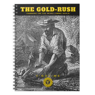 CARNET YNOTME THE GOLD RUSH 3