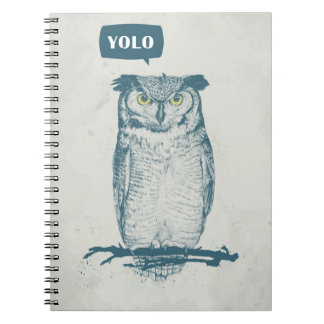 CARNET YOLO