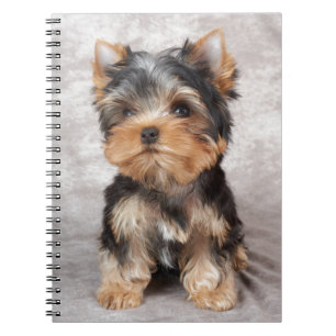 Carnet Yorkie merveilleux