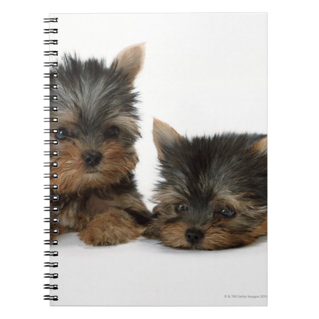 Carnet Yorkshire Terrier (Devant)