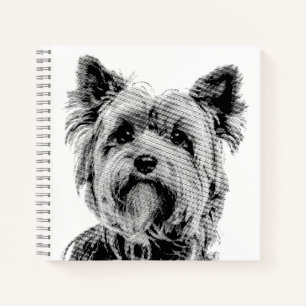 Carnet Yorkshire Terrier