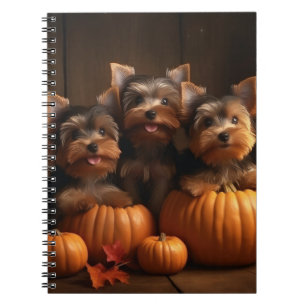 Carnet Yorkshire Terrier Chiot Automne Citrouille délice