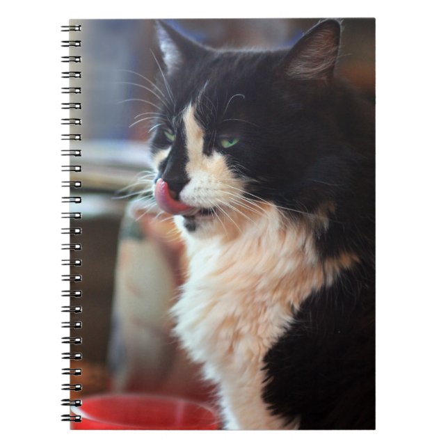 Carnet Yum ! Des cures de Kitty ! (Devant)