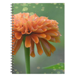 Carnet Zazzled Zinnia