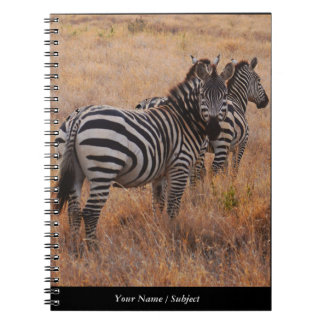 Carnet Zèbre au Kenya